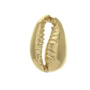 Distanziatore/Connettore conchiglia Cauri 14x9 mm - Placcato oro 3 microns x1