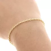 Catena mm.  2,5 dorato xm. 1