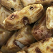 Perline in vetro di Boemia Carrier Bead Groove2 fori 9x17 mm Opaque Dark Travertin