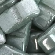 Carrier Beads