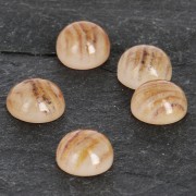 Cabochon in resina imitazione gemma 6 mm Quarzo Rutile x1