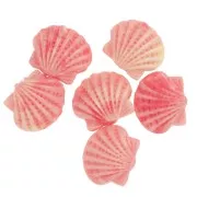 Perla di conchiglia in resina 10x12 mm - Granatina x1