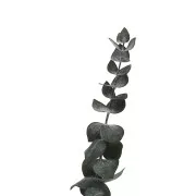 Eucalipto Baby Blu verde - fiore secco per creazione DIY x1 stelo