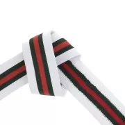 Nastro elastico spugna largo per cucito 40 mm Bianco/verde/rosso x50cm