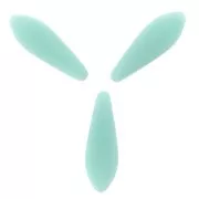 Daghe 5x16 mm Opaque Aqua Mat x50
