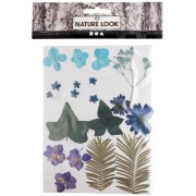 Assortimento di fiori secchi e pressati per creazioni diy -  Blu x1