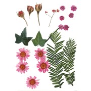 Assortimento di fiori secchi e pressati per creazioni diy - Rosa x1