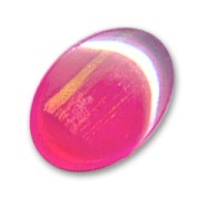 Cabochon mm. 18x13 Rosa/Gold x1