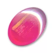 Cabochon mm. 18x13 Rosa/Gold x1