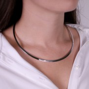 Collare rigido piatto da 14 cm - Acciaio inossidabile 304L x1
