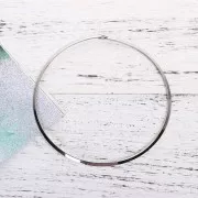 Collare rigido piatto da 14 cm - Acciaio inossidabile 304L x1