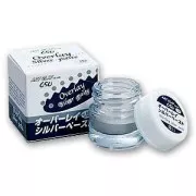 Pasta per dipingere 15gr