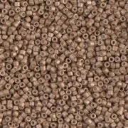 Miyuki Delica 11/0 DB1162 - Mat Galvanized Champagne