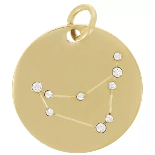 Pendente costellazione Capricorno 20mm con anello aperto - Acciaio inox dorato x1