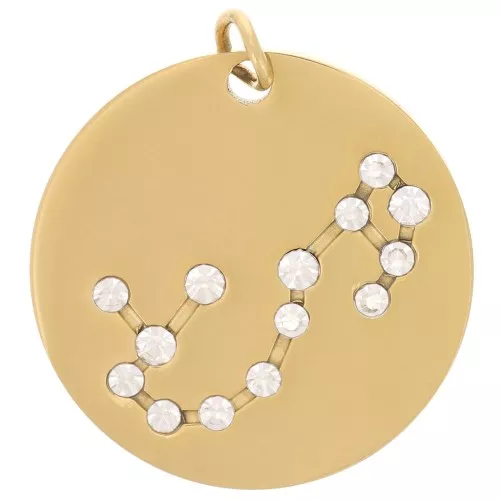 Pendente costellazione Scorpione 20mm con anello aperto - Acciaio inox dorato x1