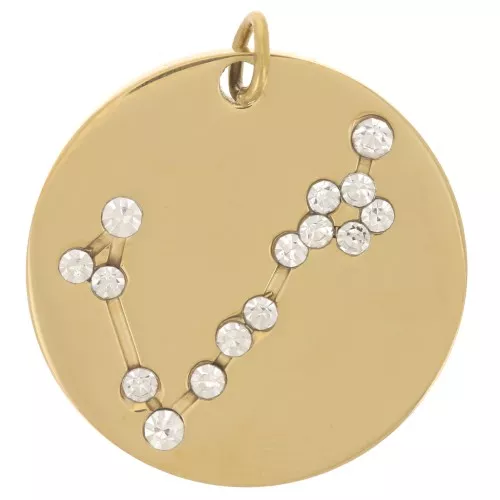 Pendente costellazione Pesce 20mm con anello aperto  - Acciaio inox dorato x1