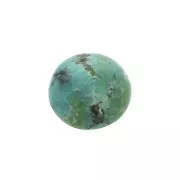 Cabochon rotondo 6 mm Turchese naturale x1