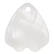 Petalo di madreperla 15.5x14 mm Naturale  x1