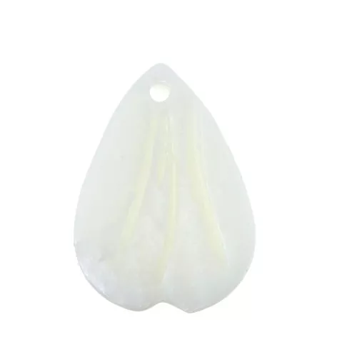 Petalo madreperla 17.5x13 mm Naturale x1