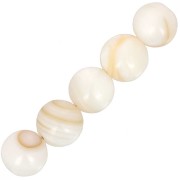 Perla rotonda di conchiglia da 8 mm - Naturali x10