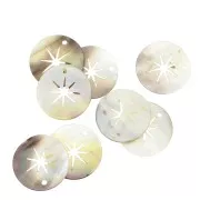 Pendente rotondo in perla - Stella del nordo - 19 mm - Naturale x1