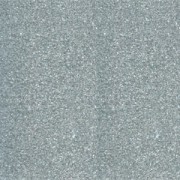 Polvere per embossare Silver x 25 ml