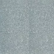 Polvere per embossare Silver x 25 ml