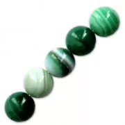 Perlina Green Lace Agate 12 mm x1