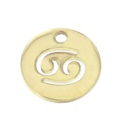 Ciondolo rotondo - segno dello zodiaco Cancro 10 mm en Gold filled x1