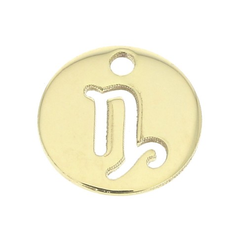 Ciondolo rotondo - segno dello zodiaco Capricorno 10 mm en Gold filled x1