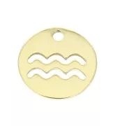 Ciondolo rotondo - segno dello zodiaco Acquario 10 mm en Gold filled x1