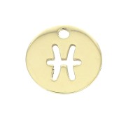 Ciondolo rotondo - segno dello zodiaco Pesce 10 mm en Gold filled x1