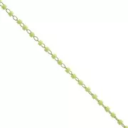 Catena di perle con Miyuki Delica 11/0 1.70 mm - Dorato - Verde Chiaro x1 m