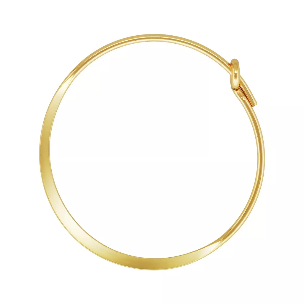 Introduzione Della Conchiglia E Della Madreperla - 6 Tipi Di - Foto 11