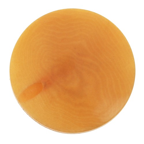 Perla di Tagua rotonda appiattita 20 mm - Zafferano x1