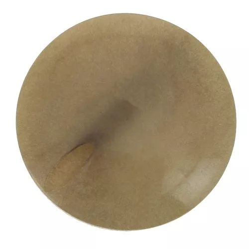 Perla di Tagua rotonda appiattita 20 mm - Marrone Chiaro x1