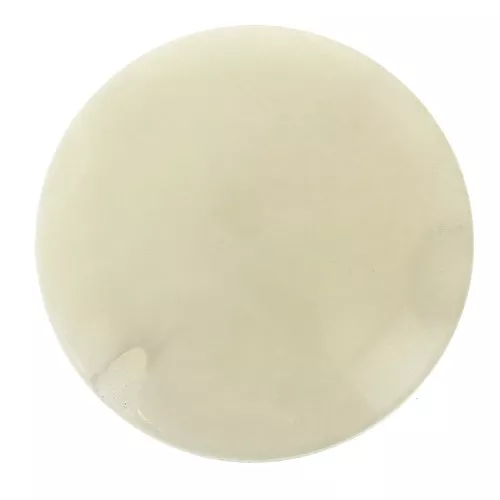 Perla di Tagua rotonda appiattita 20 mm - Avorio x1