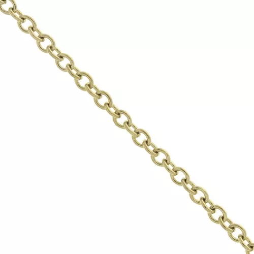 Catena maglia Forçat 2 mm Acciaio inossidabile Dorato 316L x50cm