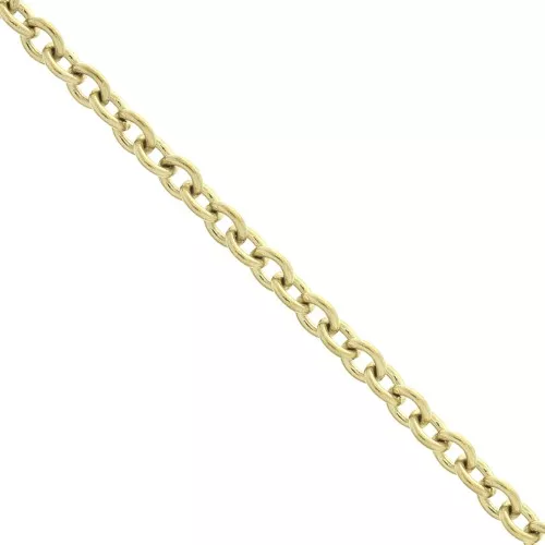 Catena Forzatina 3.1 mm Acciaio inossidabile Dorato 316L x50cm