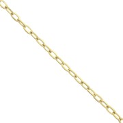 Catena maglia Forzatina rettangolo 2.1 mm Acciaio inossidabile Dorato 316L x50cm|raw }}