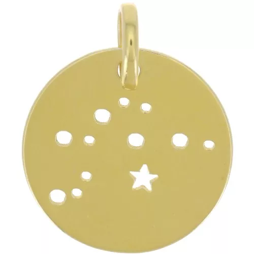 Ciondolo a forma di costellazione dell'Acquario 18 mm - Argento 925 Dorato x1