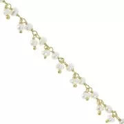Catena fantasia 6.5 mm perle d'acqua dolce-Argento 925 Dorato all'oro finox20cm