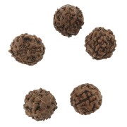 Semi naturali di Rudraksha lacrime di shiva 12 mm x10|raw }}