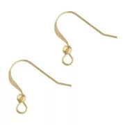 Orecchini ganci 15 mm in Gold filled x20