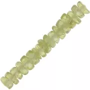 Pietre rondelles Heishi 4x2 mm - Peridoto x20