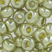 Rocaille Miyuki Duracoat 6/0 4201 - Galvanized Silver