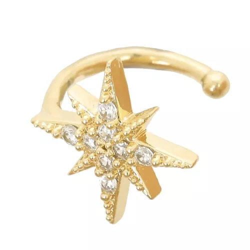 Orecchini a stella in ossido di zirconio da 10 mm in oro fino x1