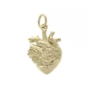 Pendente cuore umano avec anello chiuso 18x12 mm - Placcato oro 3 micron x1
