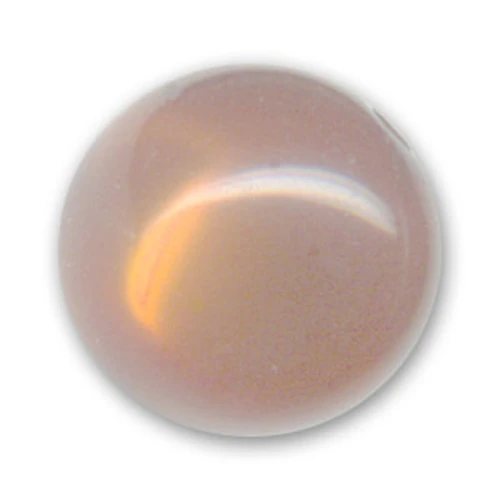 Tonda Polaris brillante mm. 20 Marrone chiaro x1