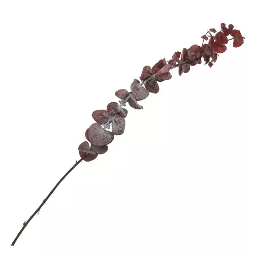 Eucalipto Baby Blu rosso - fiore secco per creazione DIY x1 stelo